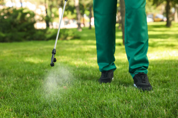 Wasp Removal Services in Fair Plain, MI